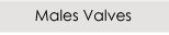 Male Valves